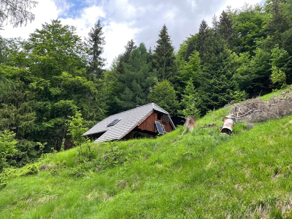 Architect'S Cottage - Serenity And Greenery In The Highlands Soča المظهر الخارجي الصورة